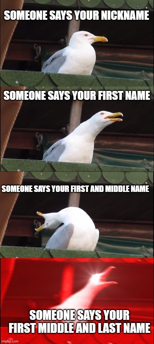 different stages of your name | SOMEONE SAYS YOUR NICKNAME; SOMEONE SAYS YOUR FIRST NAME; SOMEONE SAYS YOUR FIRST AND MIDDLE NAME; SOMEONE SAYS YOUR FIRST MIDDLE AND LAST NAME | image tagged in memes,inhaling seagull,intensifies | made w/ Imgflip meme maker