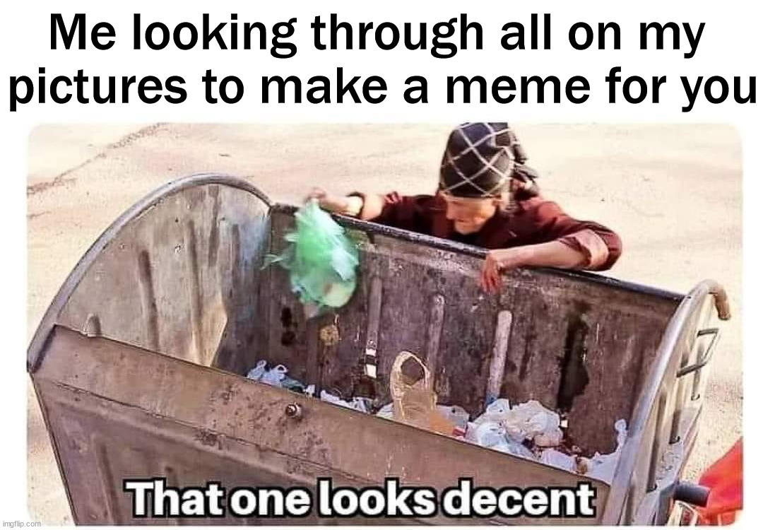 Me looking through all on my 
pictures to make a meme for you | image tagged in who_am_i | made w/ Imgflip meme maker