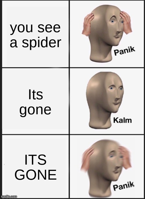 Panik Kalm Panik | you see a spider; Its gone; ITS GONE | image tagged in memes,panik kalm panik | made w/ Imgflip meme maker