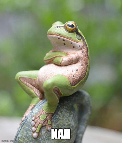 nah frog | NAH | image tagged in nah frog | made w/ Imgflip meme maker