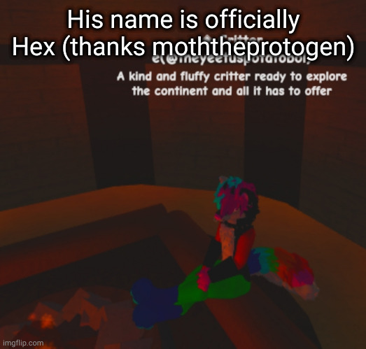 enjoy this image of le boi warming his peets | His name is officially Hex (thanks moththeprotogen) | image tagged in he warms his beans | made w/ Imgflip meme maker