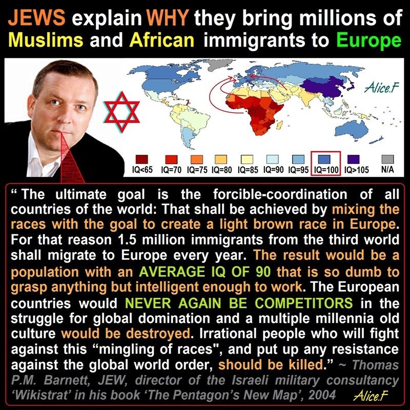 JEWISH STRATEGY FOR WHITE GENOCIDE Blank Meme Template