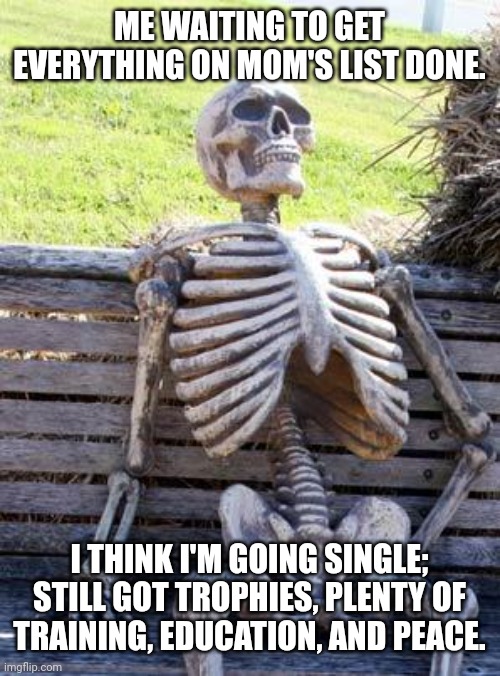 9+13=22 | ME WAITING TO GET EVERYTHING ON MOM'S LIST DONE. I THINK I'M GOING SINGLE; STILL GOT TROPHIES, PLENTY OF TRAINING, EDUCATION, AND PEACE. | image tagged in memes,waiting skeleton,9 plus 11 equals 21 | made w/ Imgflip meme maker