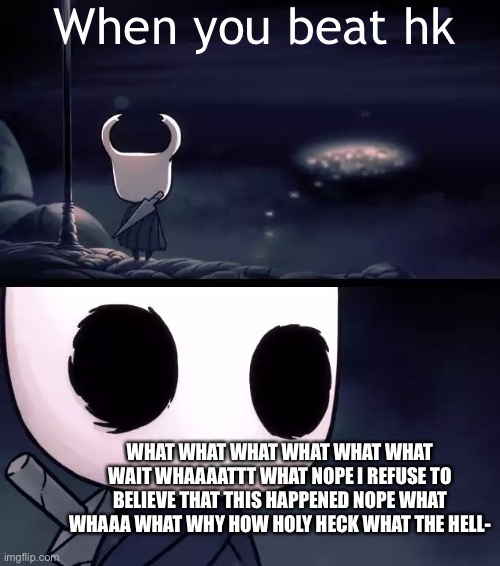 Holy shit (Hollow knight) | When you beat hk; WHAT WHAT WHAT WHAT WHAT WHAT WAIT WHAAAATTT WHAT NOPE I REFUSE TO BELIEVE THAT THIS HAPPENED NOPE WHAT WHAAA WHAT WHY HOW HOLY HECK WHAT THE HELL- | image tagged in holy shit hollow knight | made w/ Imgflip meme maker