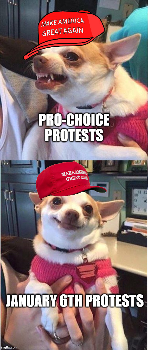 Hypocrites as usual. | PRO-CHOICE PROTESTS; JANUARY 6TH PROTESTS | image tagged in angry then happy maga dog- an an0nym0us template | made w/ Imgflip meme maker