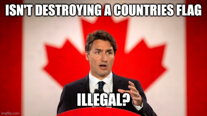 Justin Trudeau | ISN'T DESTROYING A COUNTRIES FLAG; ILLEGAL? | image tagged in justin trudeau | made w/ Imgflip meme maker