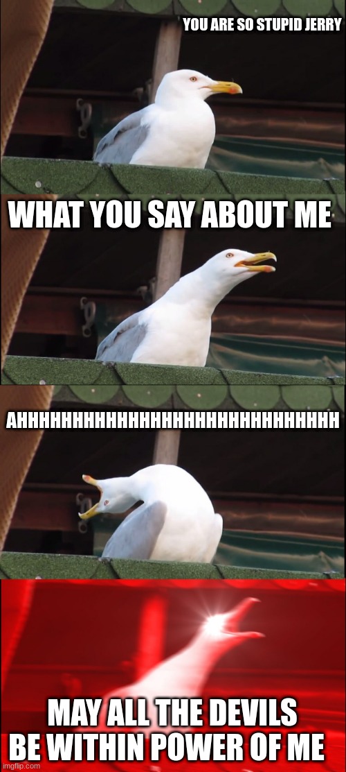 Inhaling Seagull Meme | YOU ARE SO STUPID JERRY; WHAT YOU SAY ABOUT ME; AHHHHHHHHHHHHHHHHHHHHHHHHHHHHH; MAY ALL THE DEVILS BE WITHIN POWER OF ME | image tagged in memes,inhaling seagull | made w/ Imgflip meme maker