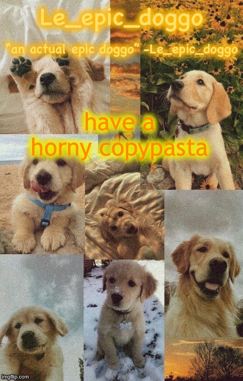 Doggo temp by doggo. Wait what that’s confusing | have a horny copypasta | image tagged in doggo temp by doggo wait what that s confusing | made w/ Imgflip meme maker