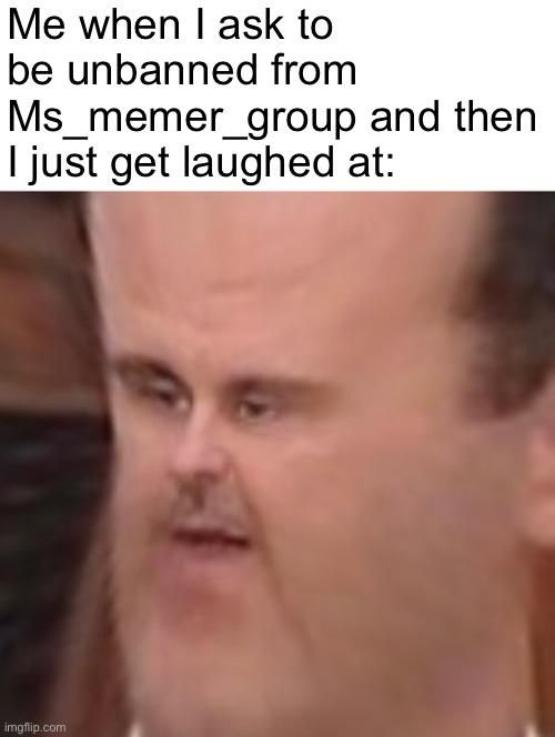 Al Assad bashar WTF face | Me when I ask to be unbanned from Ms_memer_group and then I just get laughed at: | image tagged in al assad basher wtf face,memes | made w/ Imgflip meme maker