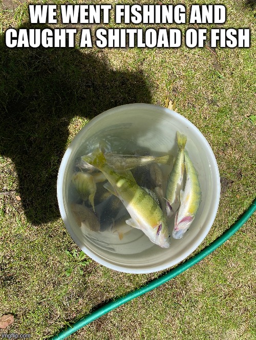 WE WENT FISHING AND CAUGHT A SHITLOAD OF FISH | made w/ Imgflip meme maker