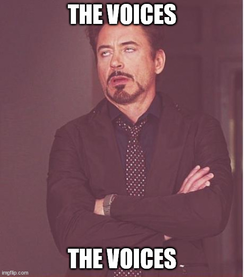 Face You Make Robert Downey Jr | THE VOICES; THE VOICES | image tagged in memes,face you make robert downey jr | made w/ Imgflip meme maker