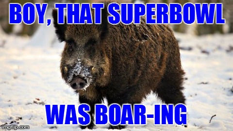 BOY, THAT SUPERBOWL WAS BOAR-ING | image tagged in boar-ing | made w/ Imgflip meme maker