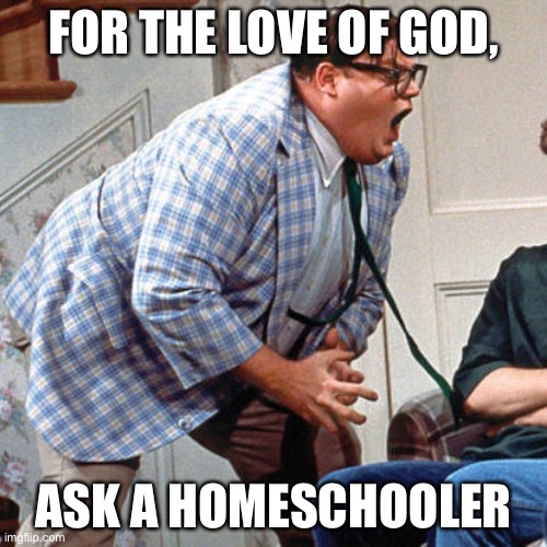 Homeschooling | FOR THE LOVE OF GOD, ASK A HOMESCHOOLER | image tagged in chris farley for the love of god | made w/ Imgflip meme maker