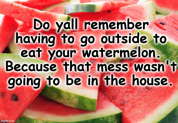 melon | Do yall remember having to go outside to eat your watermelon. Because that mess wasn't going to be in the house. | image tagged in melon | made w/ Imgflip meme maker