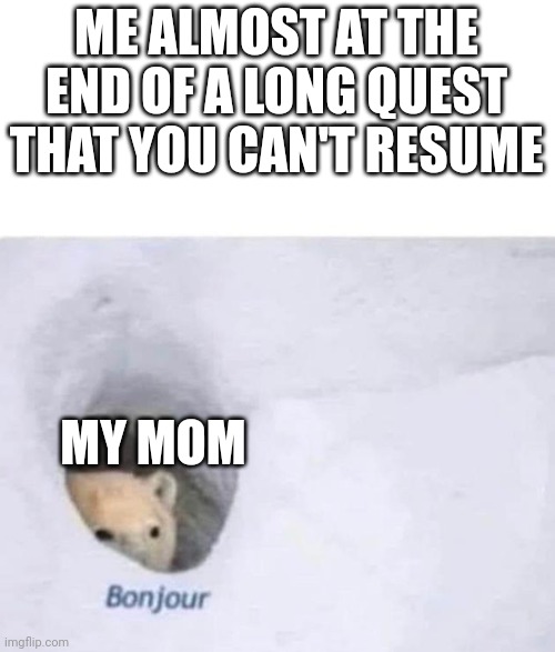 Dinner is ready at the worst time | ME ALMOST AT THE END OF A LONG QUEST THAT YOU CAN'T RESUME; MY MOM | image tagged in bonjour | made w/ Imgflip meme maker