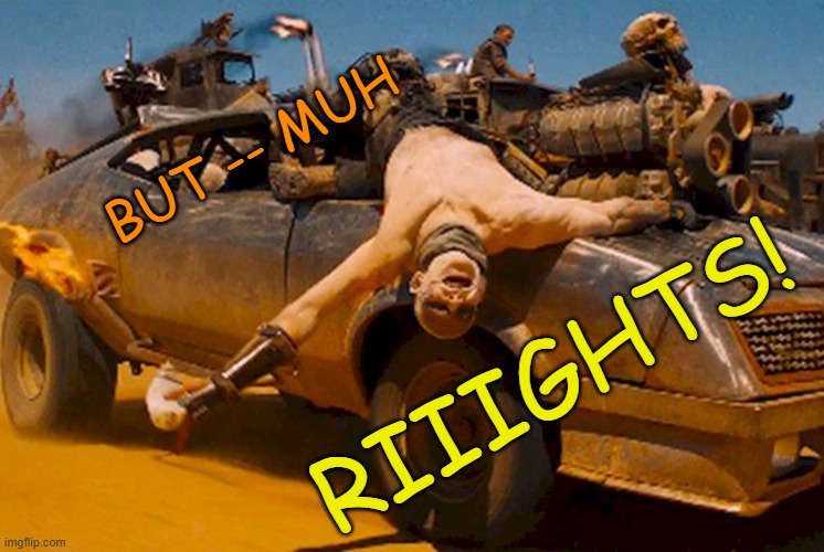 Mad Max Buzzards | BUT -- MUH RIIIGHTS! | image tagged in mad max buzzards | made w/ Imgflip meme maker