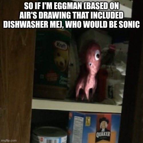 Lil Nugget in the pantry | SO IF I'M EGGMAN (BASED ON AIR'S DRAWING THAT INCLUDED DISHWASHER ME), WHO WOULD BE SONIC | image tagged in lil nugget in the pantry | made w/ Imgflip meme maker