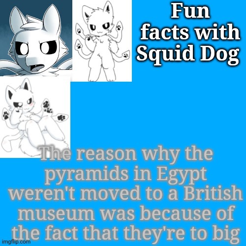Also good afternoon | The reason why the pyramids in Egypt weren't moved to a British museum was because of the fact that they're to big | image tagged in fun facts with squid dog | made w/ Imgflip meme maker