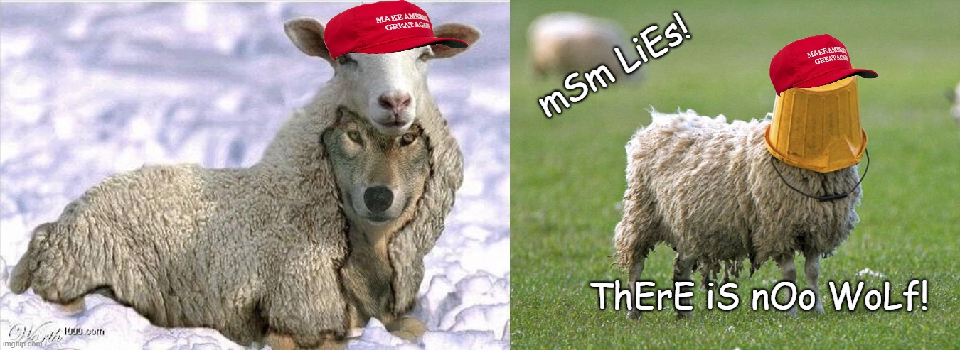 People in the Politics stream keep telling me how gullible I am | mSm LiEs! ThErE iS nOo WoLf! | image tagged in wolf in sheeps clothing,stupid sheep,gullible | made w/ Imgflip meme maker