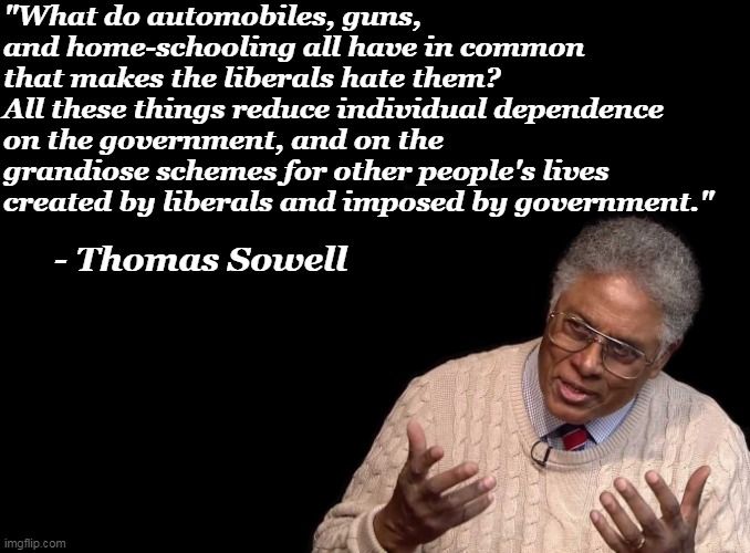Try and keep up, Democrats. |  "What do automobiles, guns, and home-schooling all have in common that makes the liberals hate them?
All these things reduce individual dependence on the government, and on the grandiose schemes for other people's lives created by liberals and imposed by government."; - Thomas Sowell | image tagged in thomas sowell,facts,liberal logic,triggered liberal,liberal hypocrisy | made w/ Imgflip meme maker