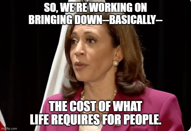Veep Thoughts 13 | SO, WE'RE WORKING ON BRINGING DOWN--BASICALLY--; THE COST OF WHAT LIFE REQUIRES FOR PEOPLE. | image tagged in kamala harris | made w/ Imgflip meme maker