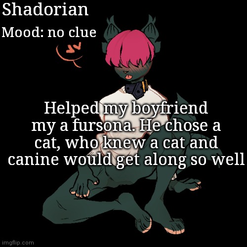 ^w^ | Shadorian; Mood: no clue; Helped my boyfriend my a fursona. He chose a cat, who knew a cat and canine would get along so well | image tagged in yes,boyfriend,furry | made w/ Imgflip meme maker