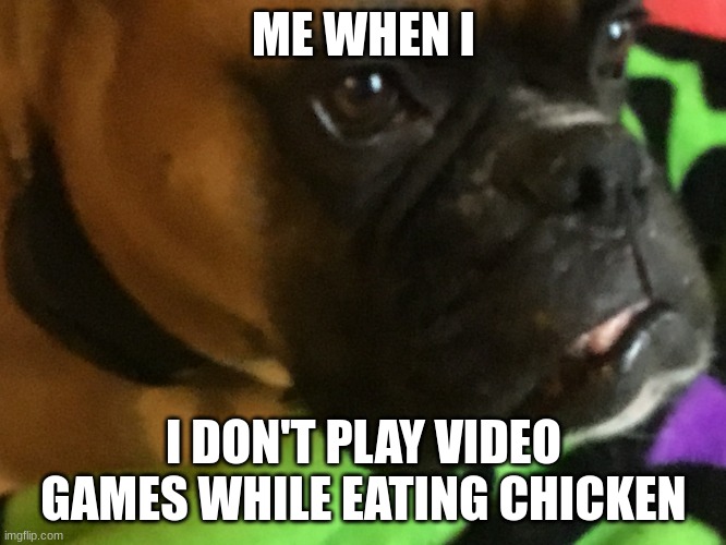 Weird dog wants help | ME WHEN I; I DON'T PLAY VIDEO GAMES WHILE EATING CHICKEN | image tagged in weird dog wants help | made w/ Imgflip meme maker