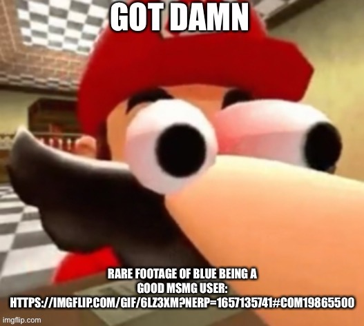 https://imgflip.com/gif/6lz3xm?nerp=1657135741#com19865500 | RARE FOOTAGE OF BLUE BEING A GOOD MSMG USER: HTTPS://IMGFLIP.COM/GIF/6LZ3XM?NERP=1657135741#COM19865500 | image tagged in got damn | made w/ Imgflip meme maker