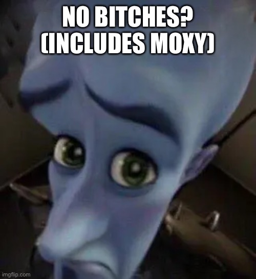 megamind no b | NO BITCHES? (INCLUDES MOXY) | image tagged in megamind no b | made w/ Imgflip meme maker