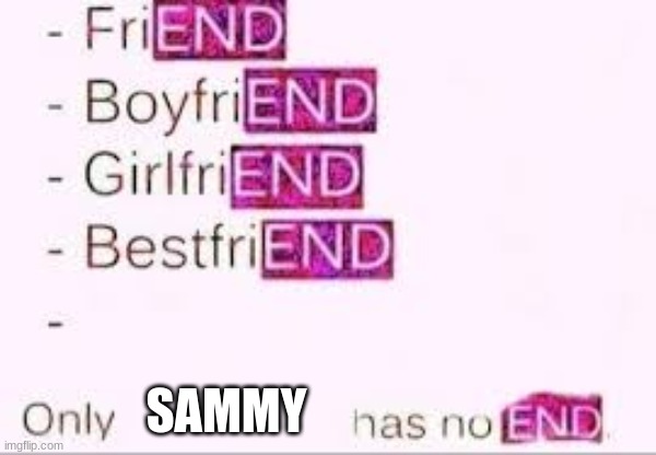 lol | SAMMY | image tagged in has no end,sammy,memes,funny,end,epic | made w/ Imgflip meme maker