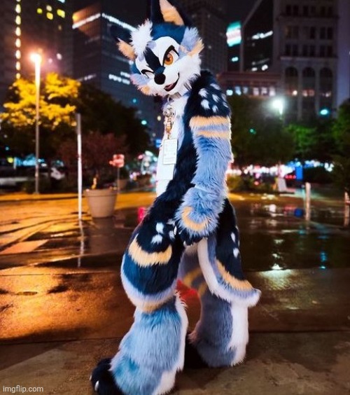 Itsnightzy | image tagged in furry,fursuit | made w/ Imgflip meme maker