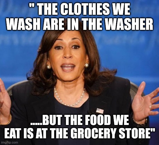 Pearls from the modern day MLK | " THE CLOTHES WE WASH ARE IN THE WASHER; .....BUT THE FOOD WE EAT IS AT THE GROCERY STORE" | image tagged in kamala harris | made w/ Imgflip meme maker