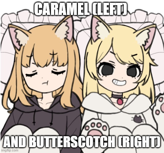 (Butterscotch is Caramel's little sister) Caramel looks so fed up | CARAMEL (LEFT); AND BUTTERSCOTCH (RIGHT) | image tagged in sisters | made w/ Imgflip meme maker