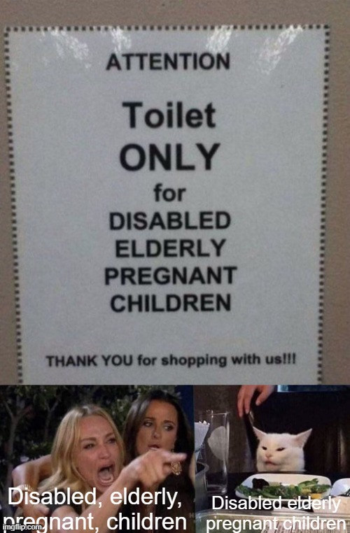 why | Disabled, elderly, pregnant, children; Disabled elderly pregnant children | image tagged in woman yelling at cat | made w/ Imgflip meme maker