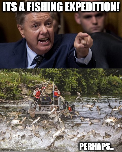 And I bet they be catching some fish..lol | ITS A FISHING EXPEDITION! PERHAPS.. | image tagged in angry lindsey graham,treason,memes,politics,lindsey graham,maga | made w/ Imgflip meme maker