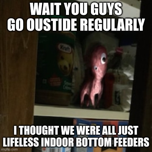 Lil Nugget in the pantry | WAIT YOU GUYS GO OUSTIDE REGULARLY; I THOUGHT WE WERE ALL JUST LIFELESS INDOOR BOTTOM FEEDERS | image tagged in lil nugget in the pantry | made w/ Imgflip meme maker