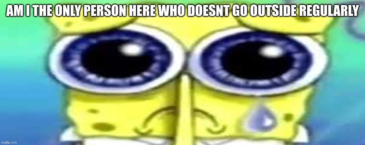 Sad Spong | AM I THE ONLY PERSON HERE WHO DOESNT GO OUTSIDE REGULARLY | image tagged in sad spong | made w/ Imgflip meme maker
