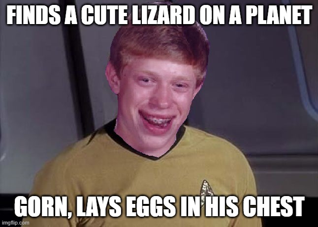 No No No Not the Eggs! | FINDS A CUTE LIZARD ON A PLANET; GORN, LAYS EGGS IN HIS CHEST | image tagged in bad luck brian star trek memes | made w/ Imgflip meme maker