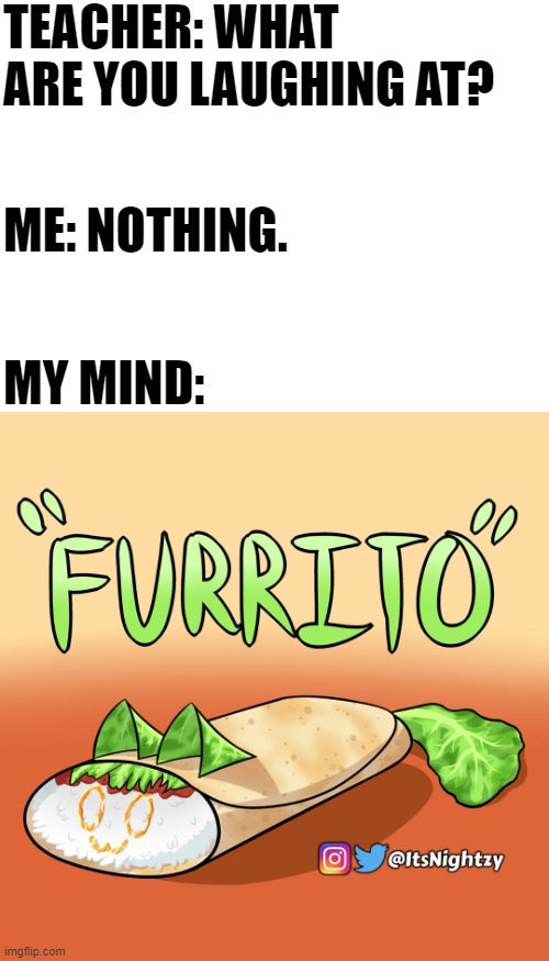 LOL (By ItsNightzy) | TEACHER: WHAT ARE YOU LAUGHING AT? ME: NOTHING. MY MIND: | image tagged in furry,memes,funny,burrito | made w/ Imgflip meme maker