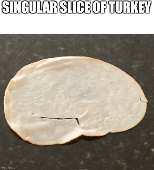 Singular slice of turkey | SINGULAR SLICE OF TURKEY | made w/ Imgflip meme maker
