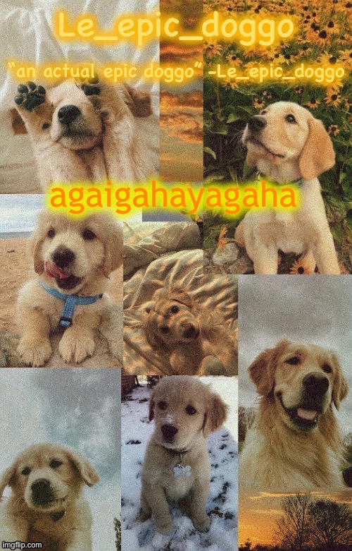 Doggo temp by doggo. Wait what that’s confusing | agaigahayagaha | image tagged in doggo temp by doggo wait what that s confusing | made w/ Imgflip meme maker