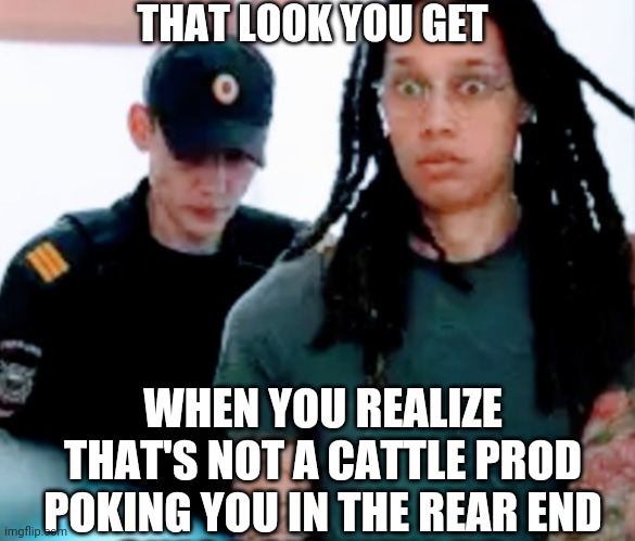 THAT LOOK YOU GET WHEN YOU REALIZE THAT'S NOT A CATTLE PROD POKING YOU IN THE REAR END | made w/ Imgflip meme maker