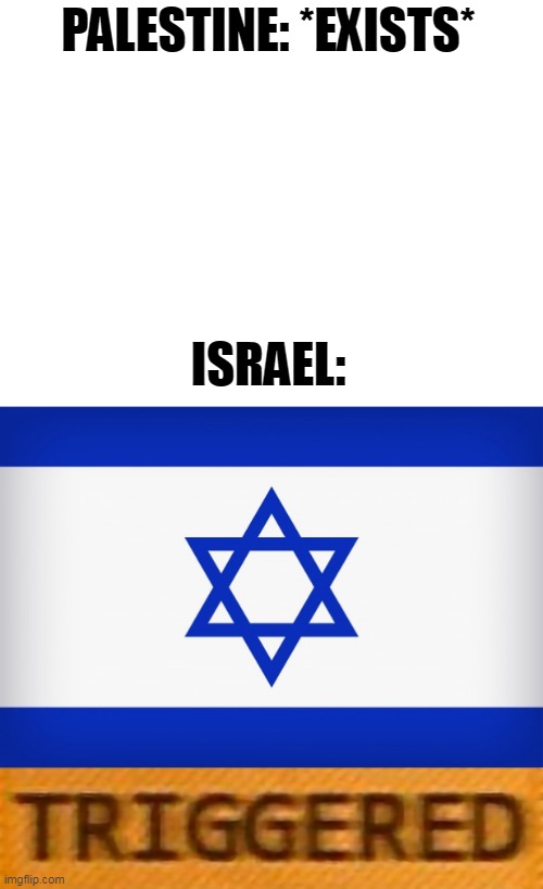 Triggered Israel | PALESTINE: *EXISTS*; ISRAEL: | image tagged in triggered,israel,palestine,existence,exist,triggering | made w/ Imgflip meme maker