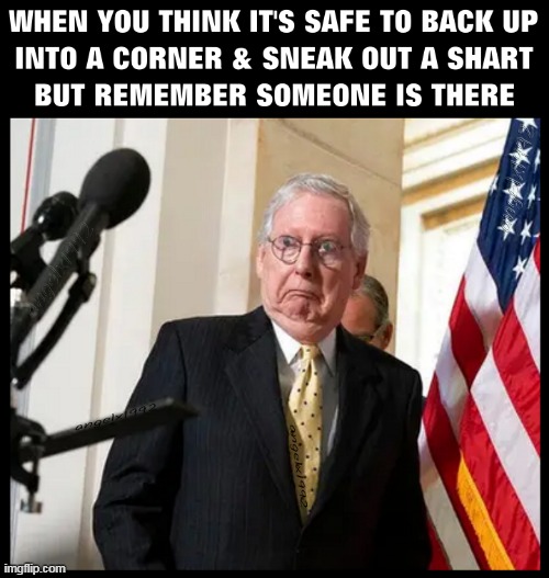 image tagged in fart,shart,flatulence,sneaky farts,mitch mcconnell,gas | made w/ Imgflip meme maker
