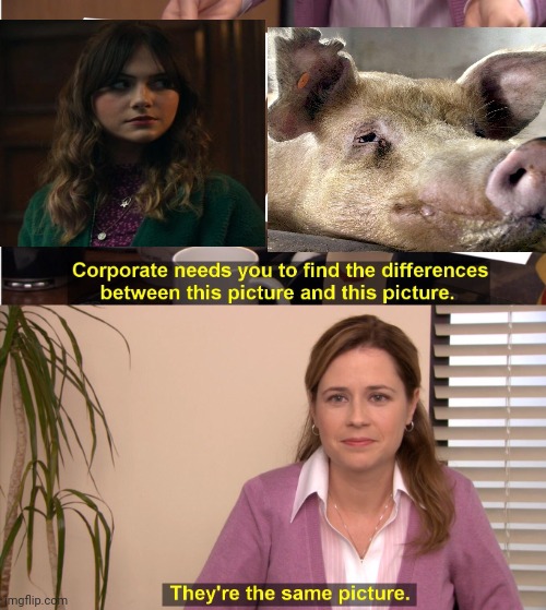 They're The Same Picture Meme | image tagged in memes,they're the same picture,kinsey,swine,locke and key | made w/ Imgflip meme maker