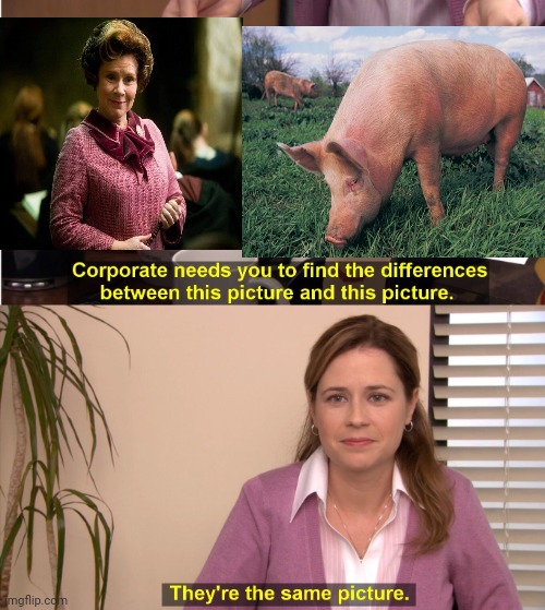 They're The Same Picture Meme | image tagged in memes,they're the same picture,dolores umbridge,swine | made w/ Imgflip meme maker