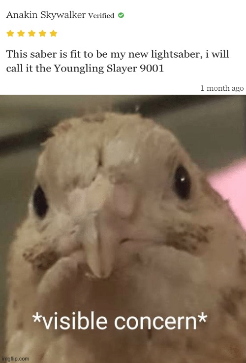 Children watch out! | image tagged in visible concern bird,anakin skywalker | made w/ Imgflip meme maker