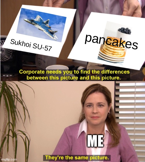 It is kinda true(just get a front view) | pancakes; Sukhoi SU-57; ME | image tagged in memes,they're the same picture,top gun,maverick,r u s s i a | made w/ Imgflip meme maker