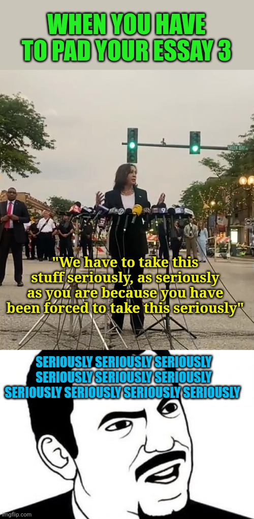 More word Salad with Harris | WHEN YOU HAVE TO PAD YOUR ESSAY 3; "We have to take this stuff seriously, as seriously as you are because you have been forced to take this seriously"; SERIOUSLY SERIOUSLY SERIOUSLY SERIOUSLY SERIOUSLY SERIOUSLY SERIOUSLY SERIOUSLY SERIOUSLY SERIOUSLY | image tagged in memes,seriously face,kamala harris,words,salad | made w/ Imgflip meme maker