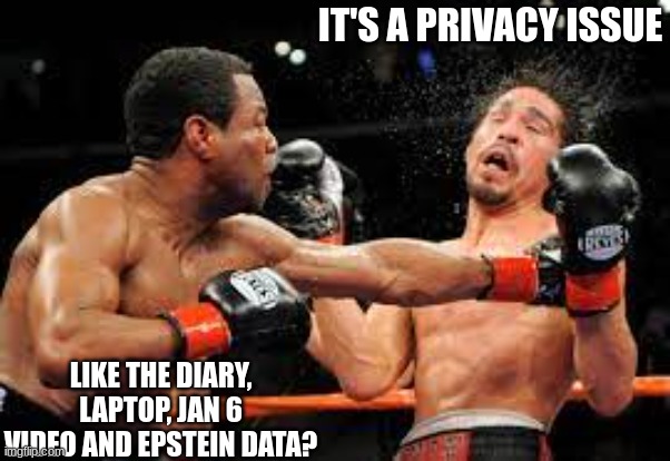 Titleist | IT'S A PRIVACY ISSUE; LIKE THE DIARY, LAPTOP, JAN 6 VIDEO AND EPSTEIN DATA? | image tagged in gun-control,thats what heroes do | made w/ Imgflip meme maker